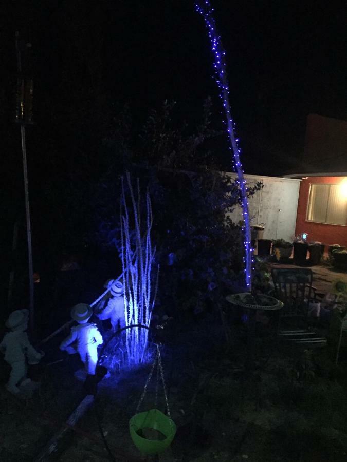 Safari Motor Inn - Джошуа-Три Экстерьер фото